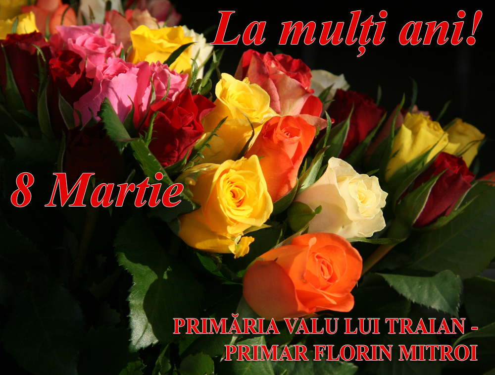 valuluitraian
